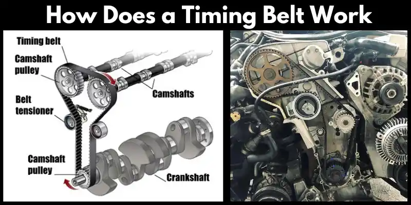 How Does a Timing Belt Work What is a Timing Belt and its Function